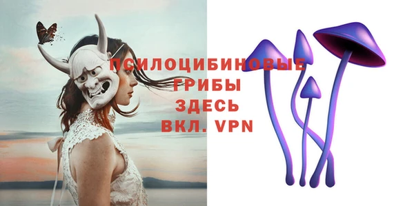 метадон Осташков