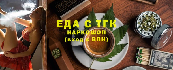 индика Алексин