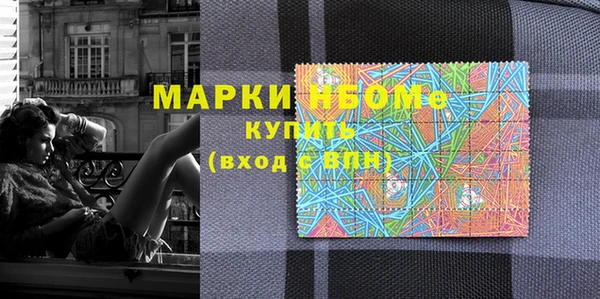 индика Алексин